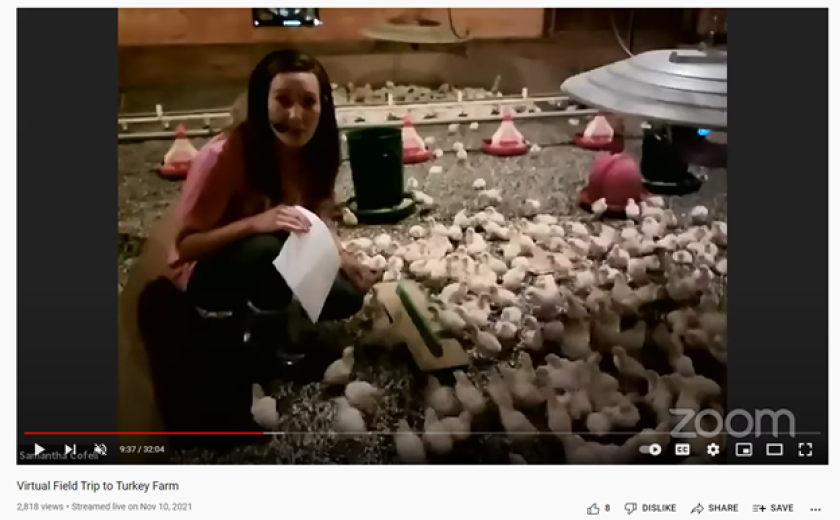 screenshoot Turkey farm.png