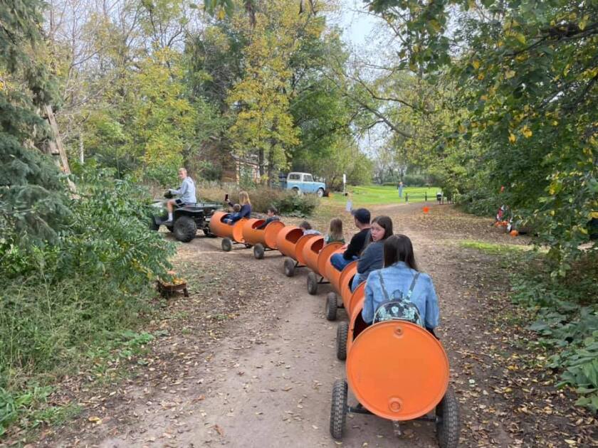 Barrel train rides through along trail at Sam's Pumpkin Patch.jpg
