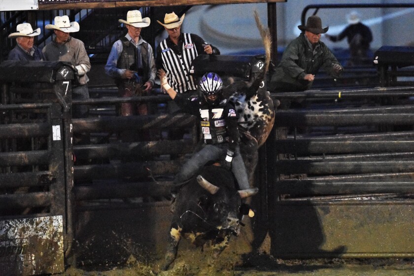 Mind over mudder: Cowboys dazzle in damp Roughrider Days Rodeo - The ...