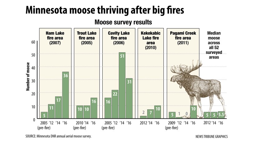 2568238+moose.jpg