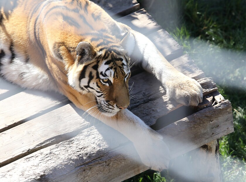 092521.n.dnt.Zoo7.jpg