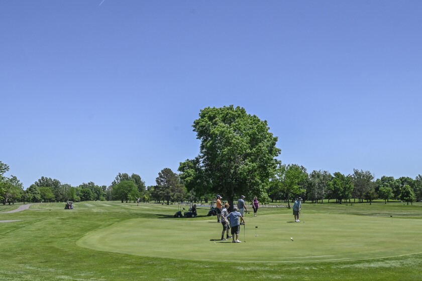 080321.N.DR.COUNCIL.jpg