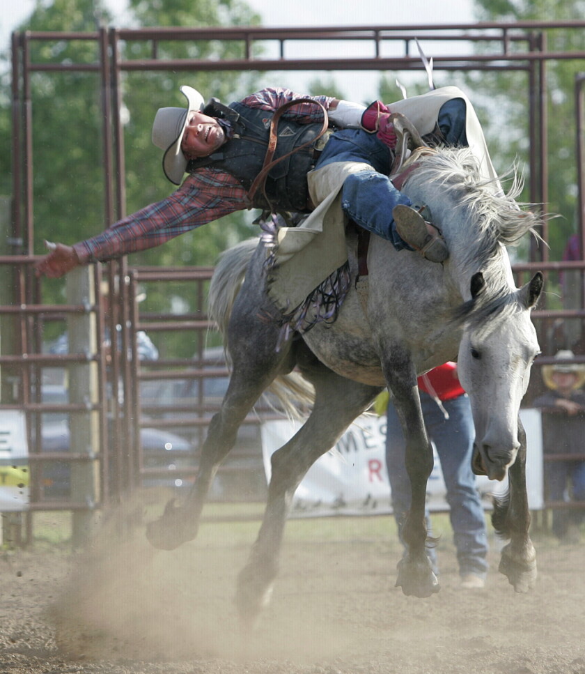 'Come on out': James River Rodeo returning to Jamestown fair ...