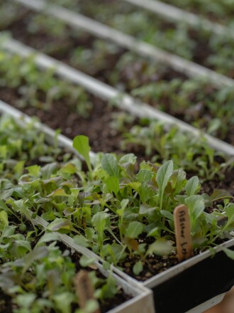 Lake City Catholic Worker Farm
