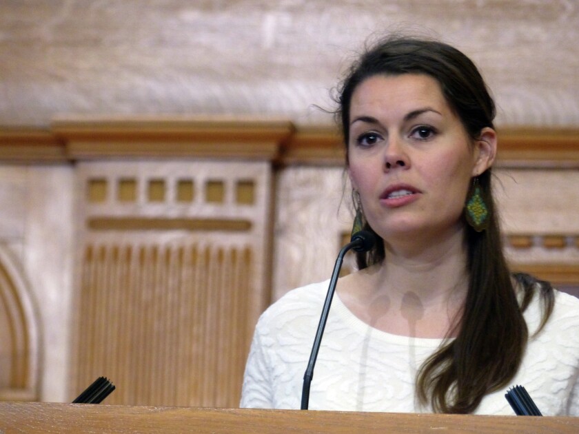 Minnesota Rep. Liz Olson, D-Duluth, said homelessness and affordable housing is neither a Democrat nor Republican issue, but a "Minnesota issue." She spoke at an annual Minnesota Coalition for the Homeless event Tuesday, March 14, 2017 in St. Paul. Maureen McMullen / Forum News Service