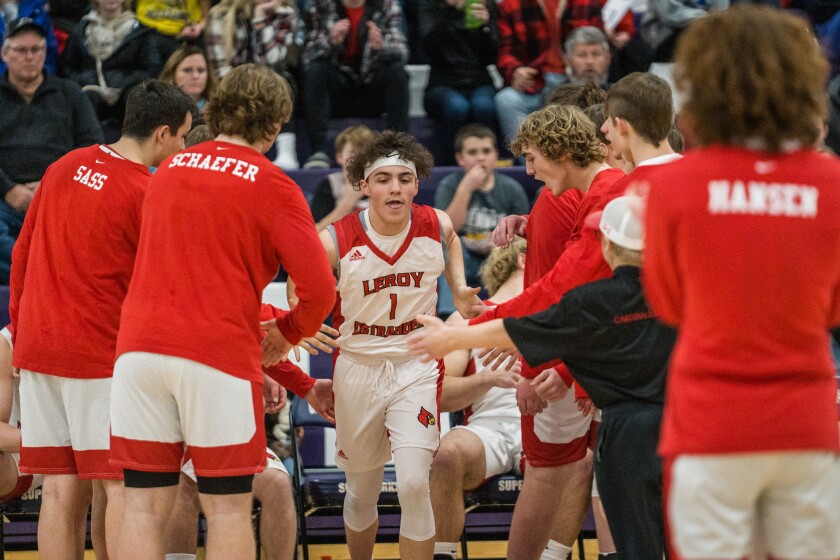 Grand Meadow, LeRoy-Ostrander boys basketball