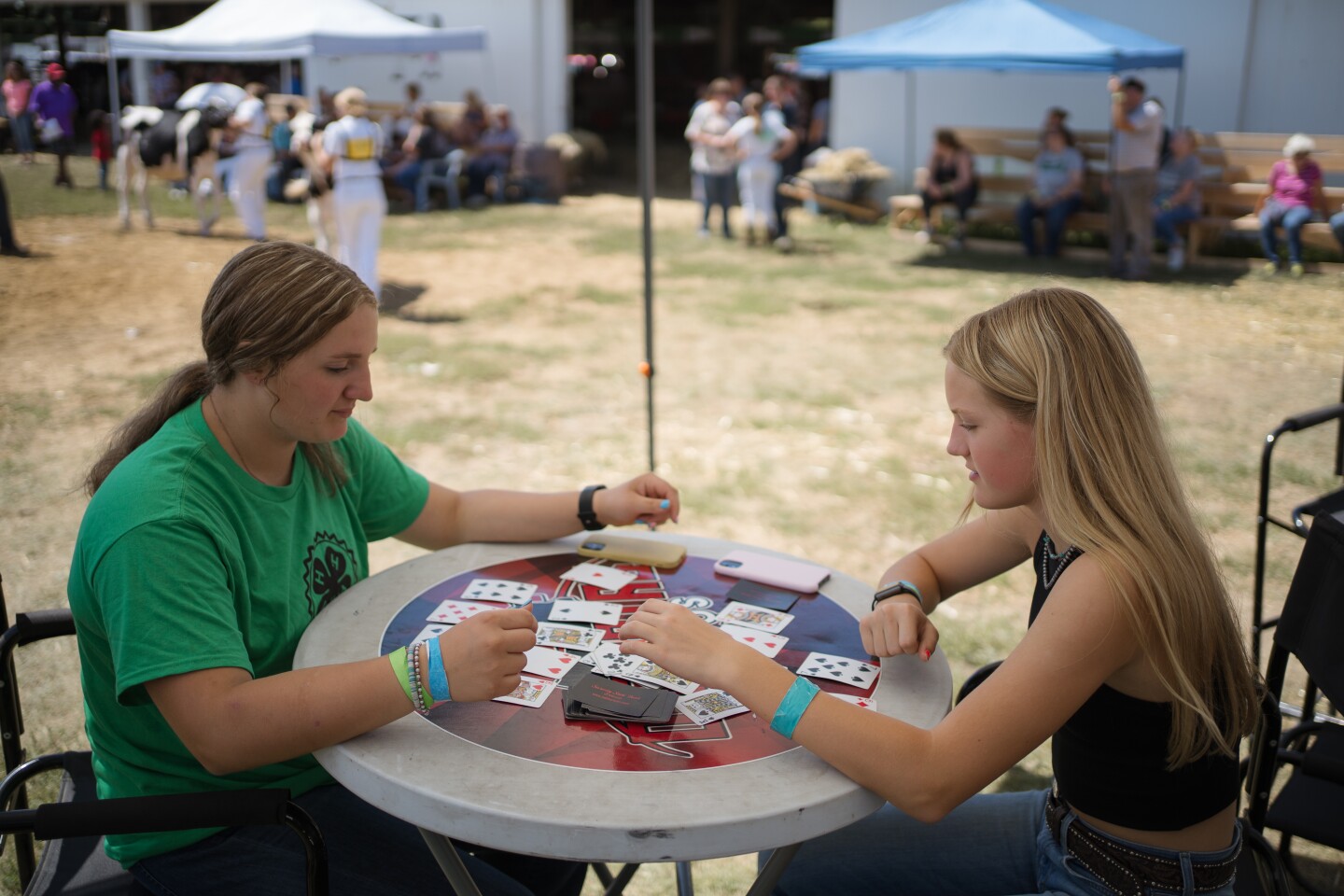 Goodhue County Court Calendar Goodhue County Court Calendar