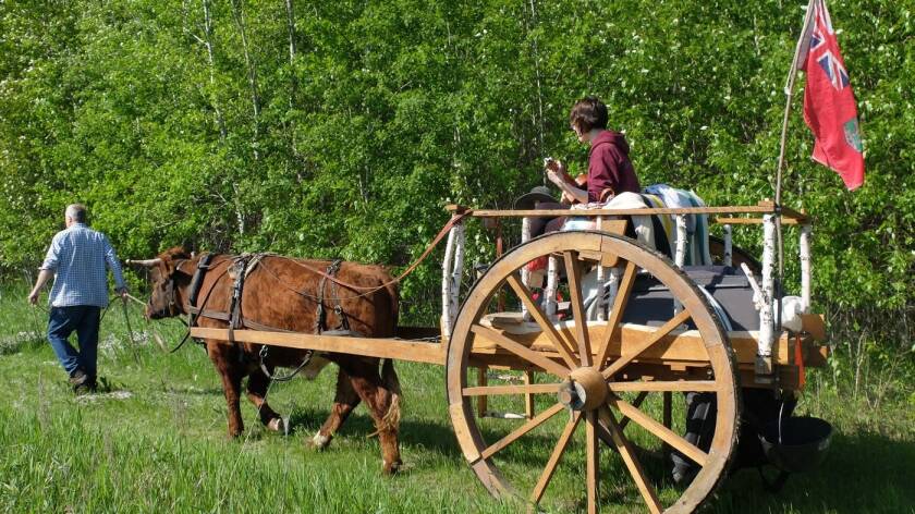 oxcart-fourth.jpg