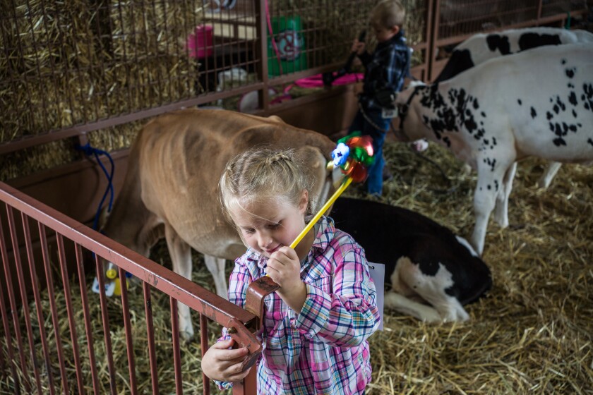 Mower County Fair