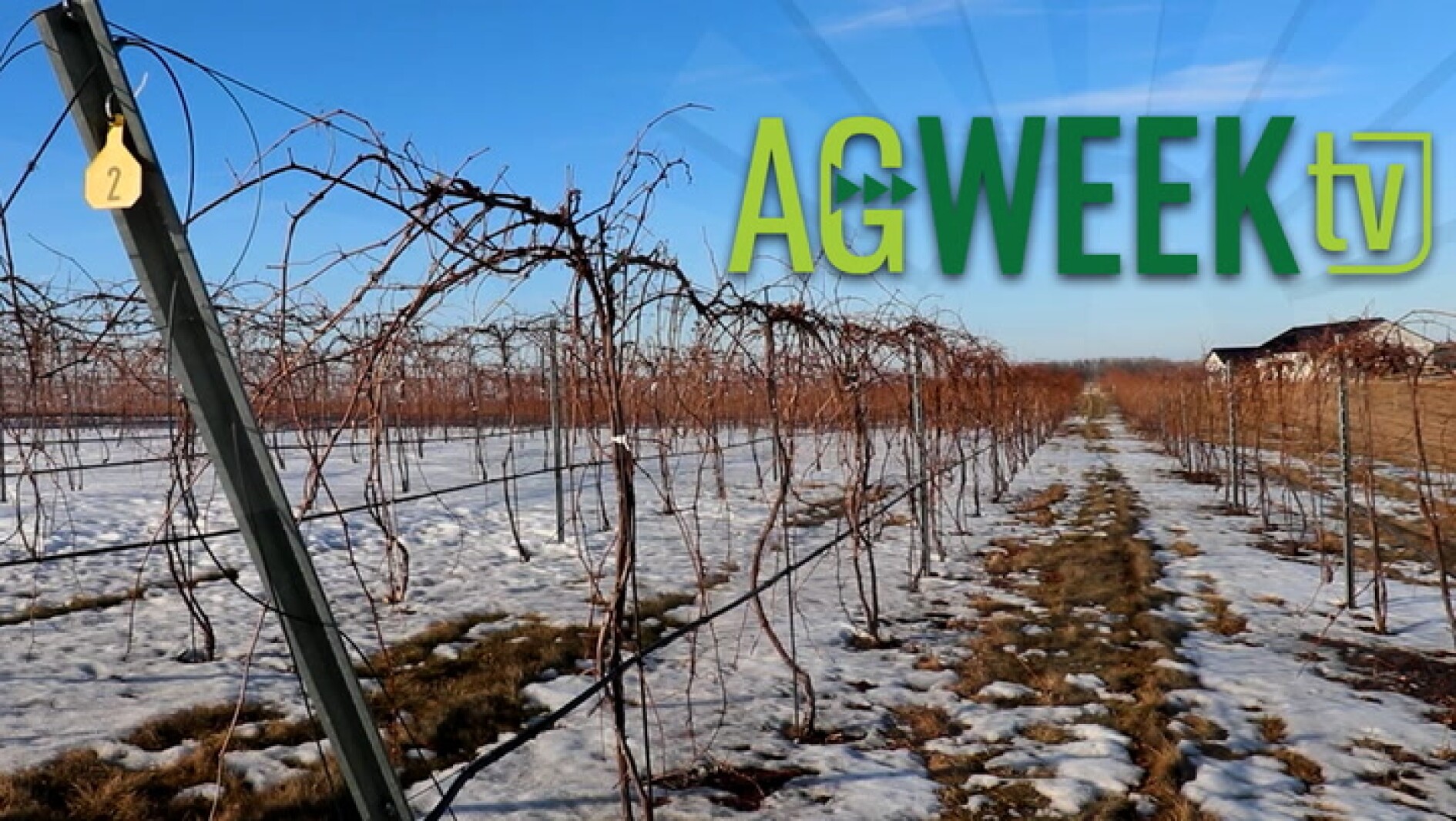 AgweekTV Full Show: Evolution Ag Summit, cannabis plant, ag leadership master's, Minnesota vineyard