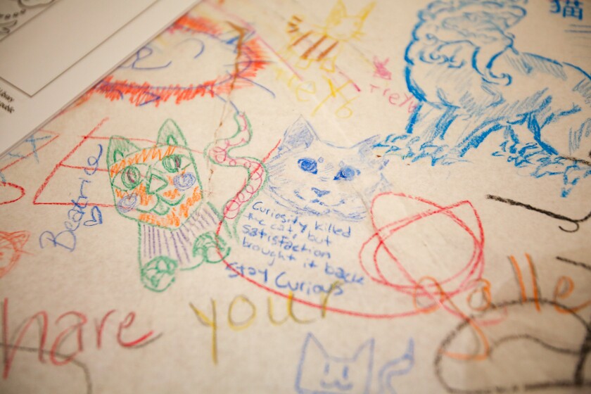 Guests are encouraged to show their artistry by creating cat-themed drawings on the table at The Rourke's Gallery Cats exhibition in the Children's Gallery.  Crayon drawings of cats on a sheet of paper on a table in close up.