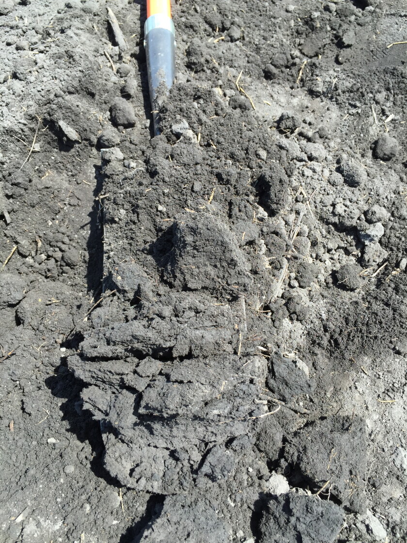 Aggregate Dig Sample Start digging: Aggregation as a soil health indicator - Agweek | #1 ...