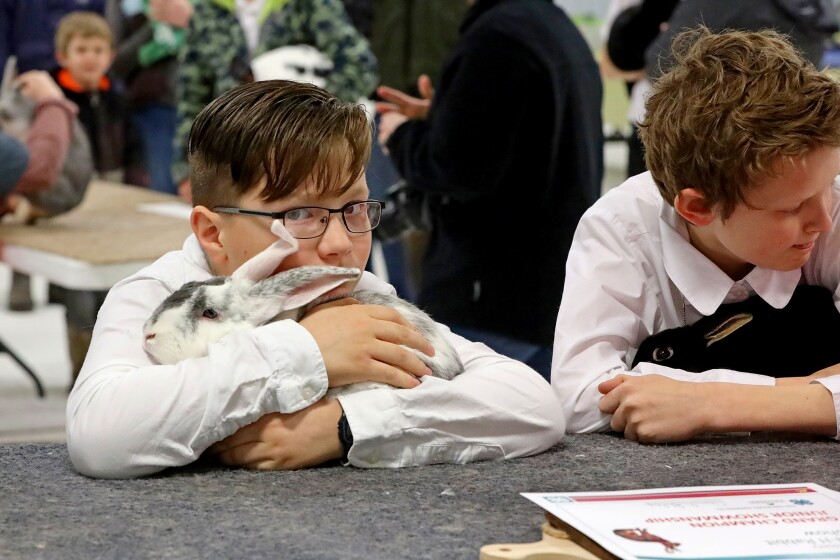 The 14th annual 4-H rabbit fun show and workshop judging Saturday, April 30, 2022, at the Crow Wing County Fairgrounds.