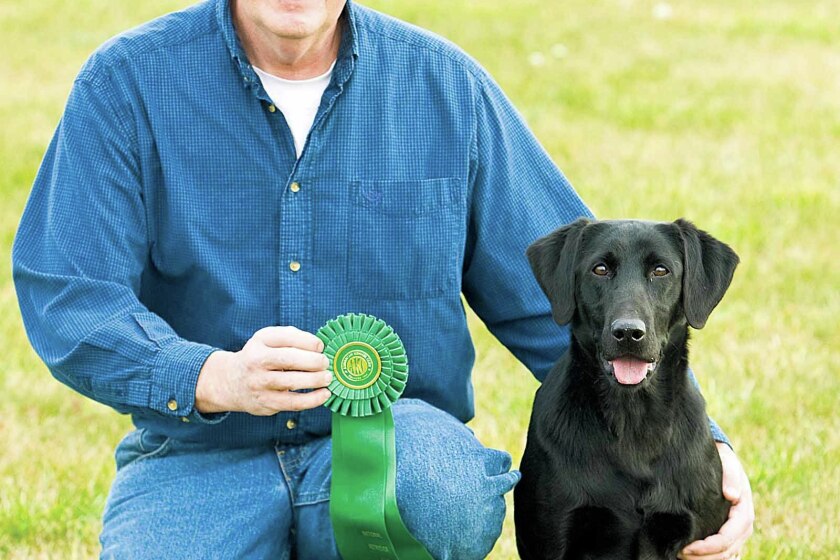 OUTDOORS: Local dog owner/trainer achieves what few ever will - The ...