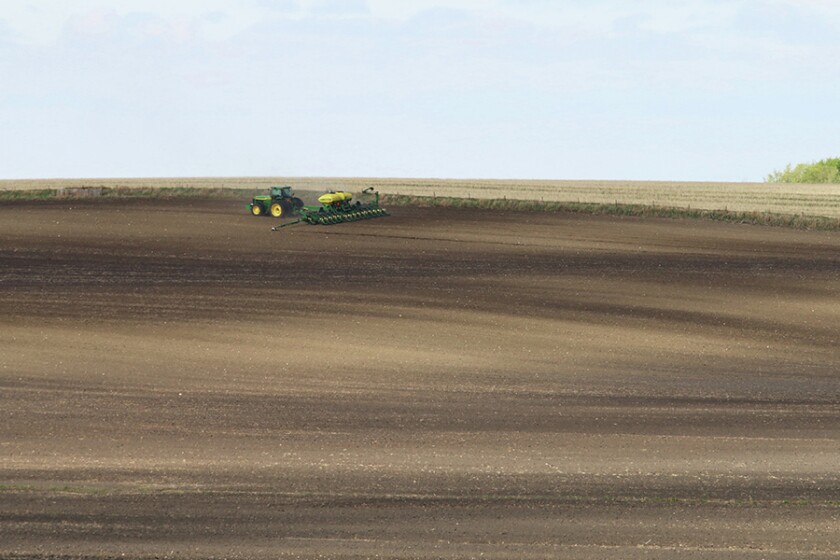 2392141+Planting3-Brose.jpg