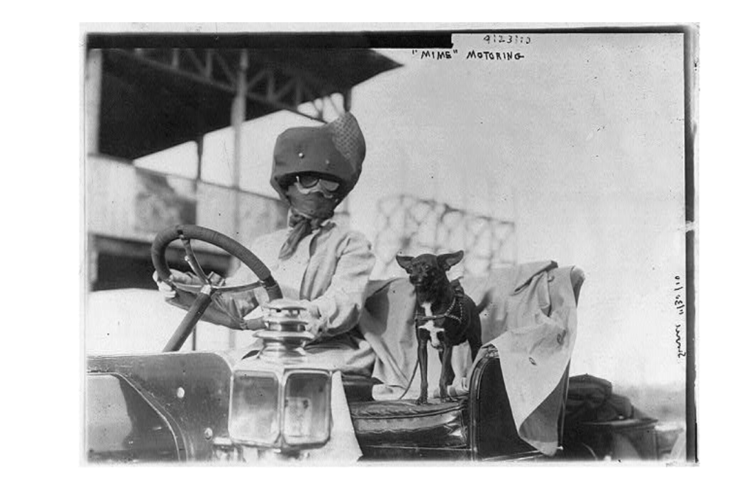 Dog in a car loc.png