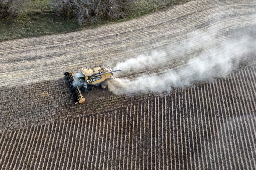 112721.N.DR.CROPS5.jpg