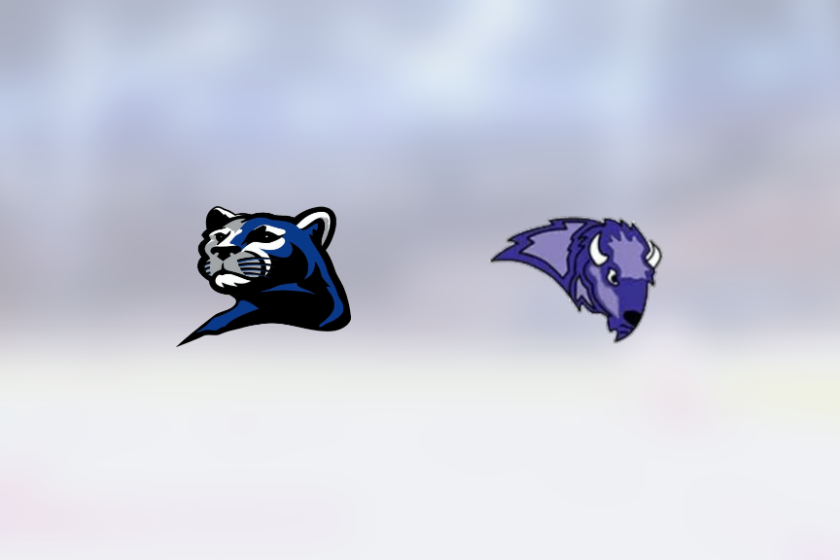img_500238652_rinklive.png