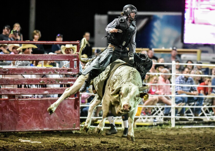 2676425+071516.S.DR_.RODEO4_.jpg