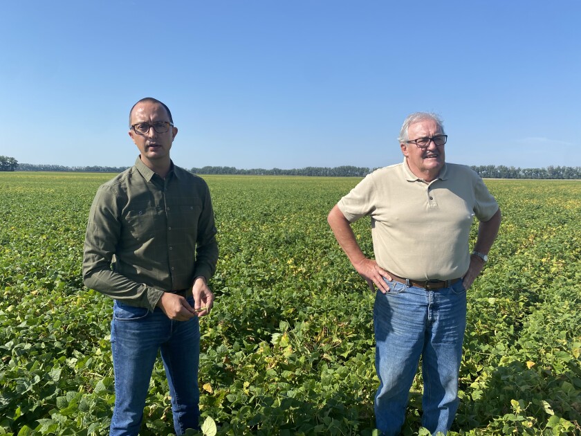 A man wearing blue jeans and a man wearing a tan shirt and blue jeans stand in a pinto bean field.