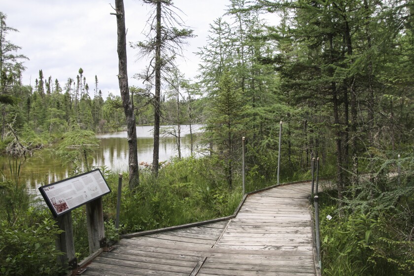 Bog Walk