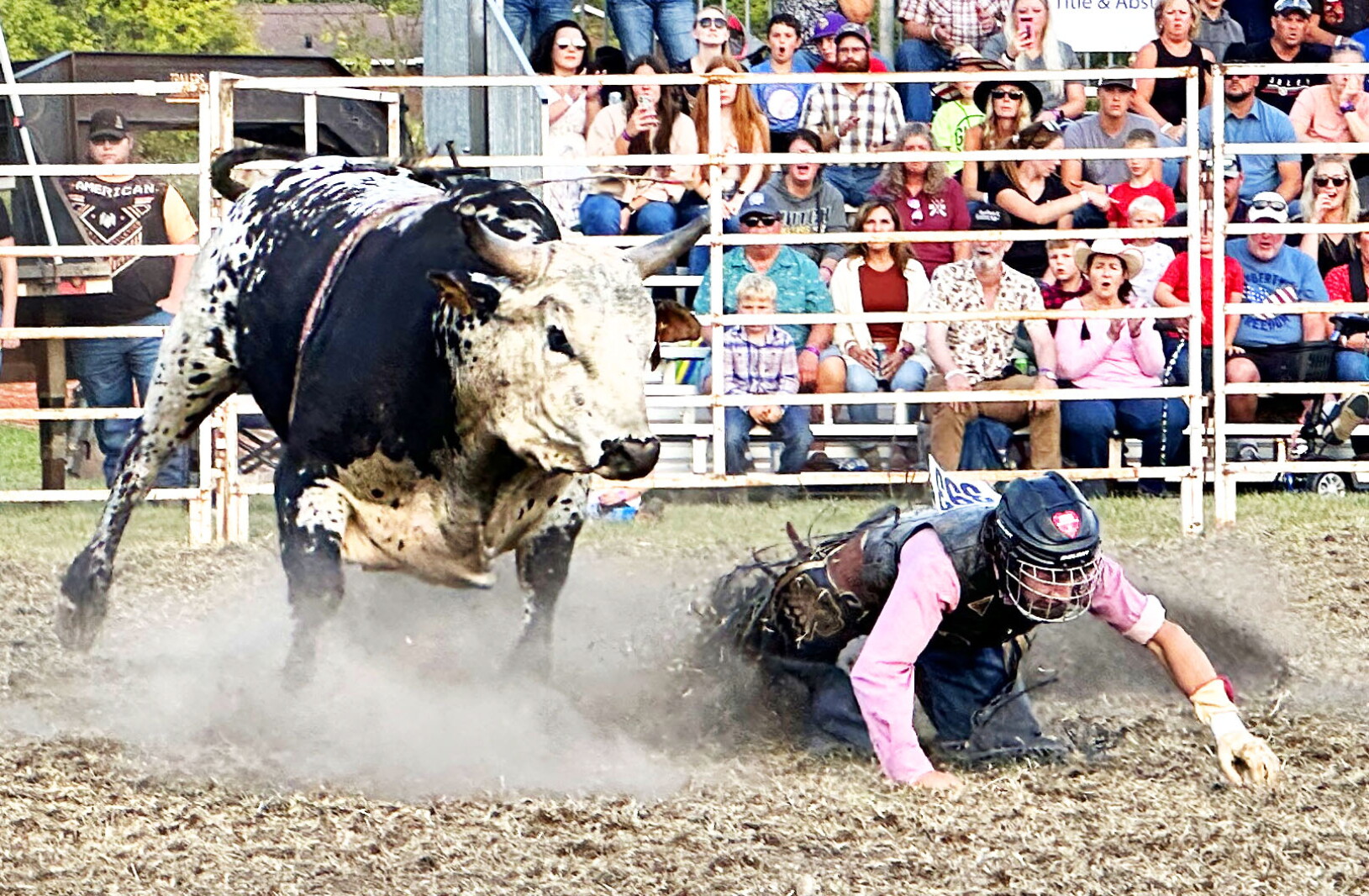 Bull Riding Today Bull riding in Osakis draws big crowd w/video - Alexandria Echo Press ...