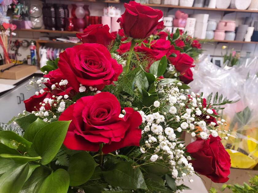 4000 Roses Roses are red and still the most popular choice at local florists - St ...