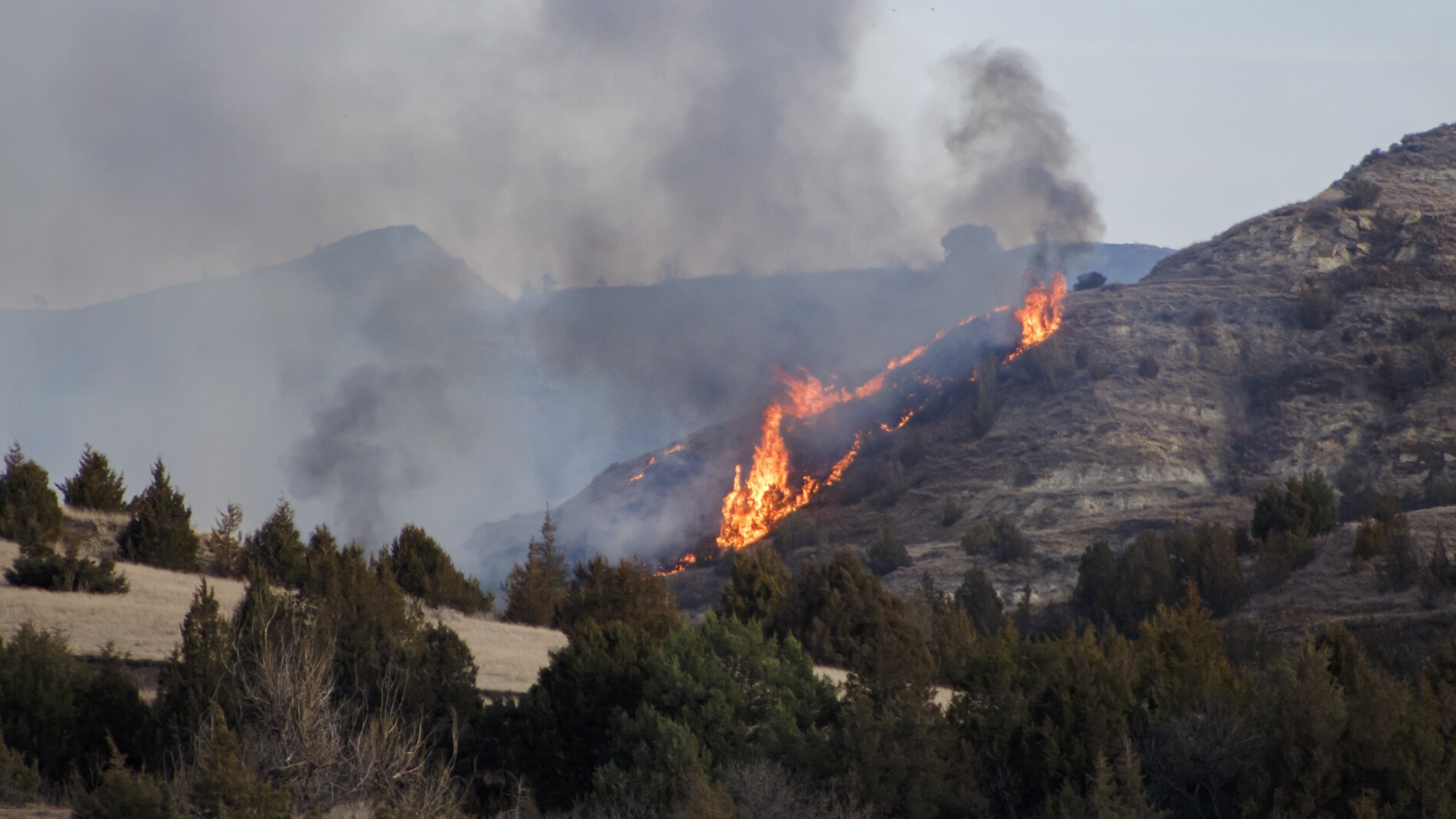 Recreational activities spark pair of fires in Medora Ranger District – The Dickinson Press Recreational activities spark pair of fires in Medora Ranger District – The Dickinson Press