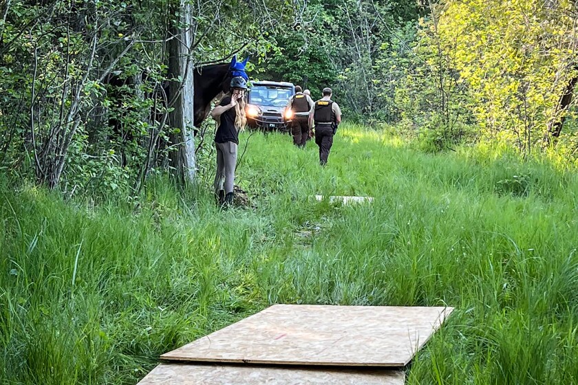 061522.N.HORSERESCUE 3.jpg