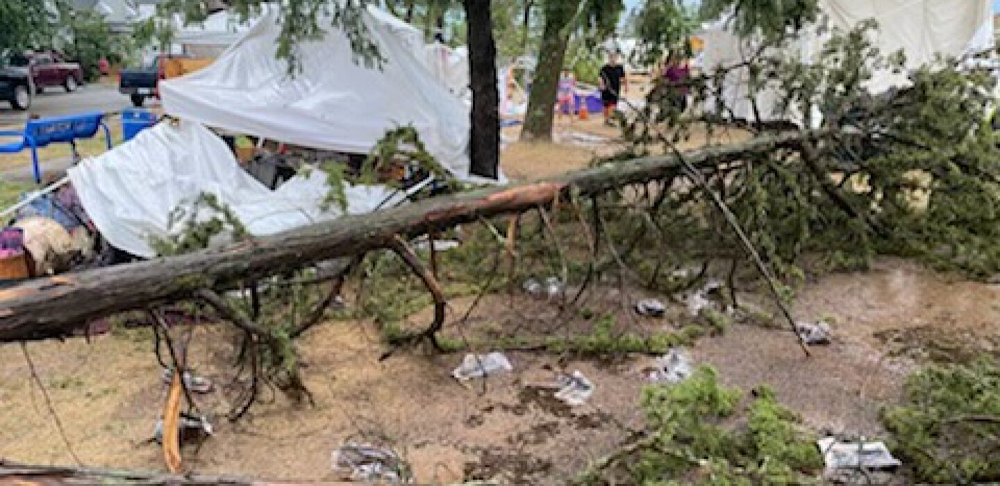 Ely's Blueberry Art Festival canceled after storm damage Duluth News