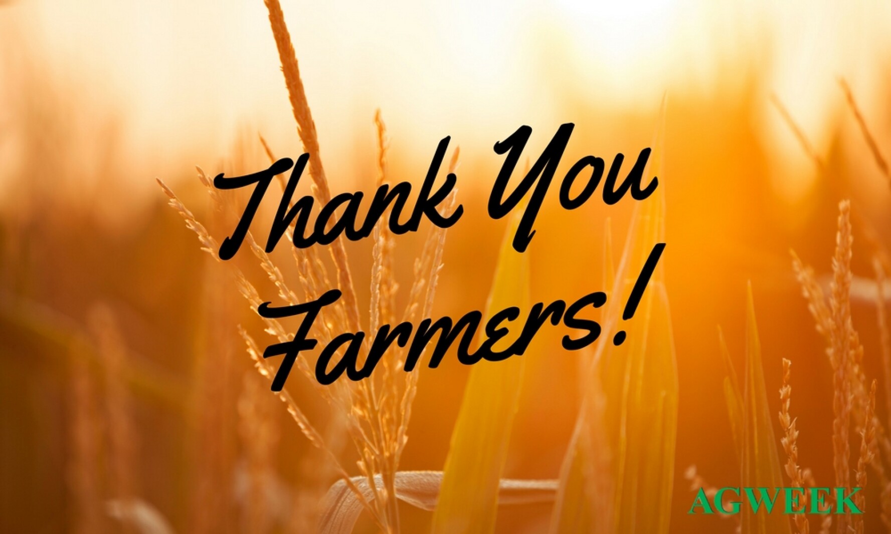 Today Is National Farmers Day Thank You To All The Hard Working