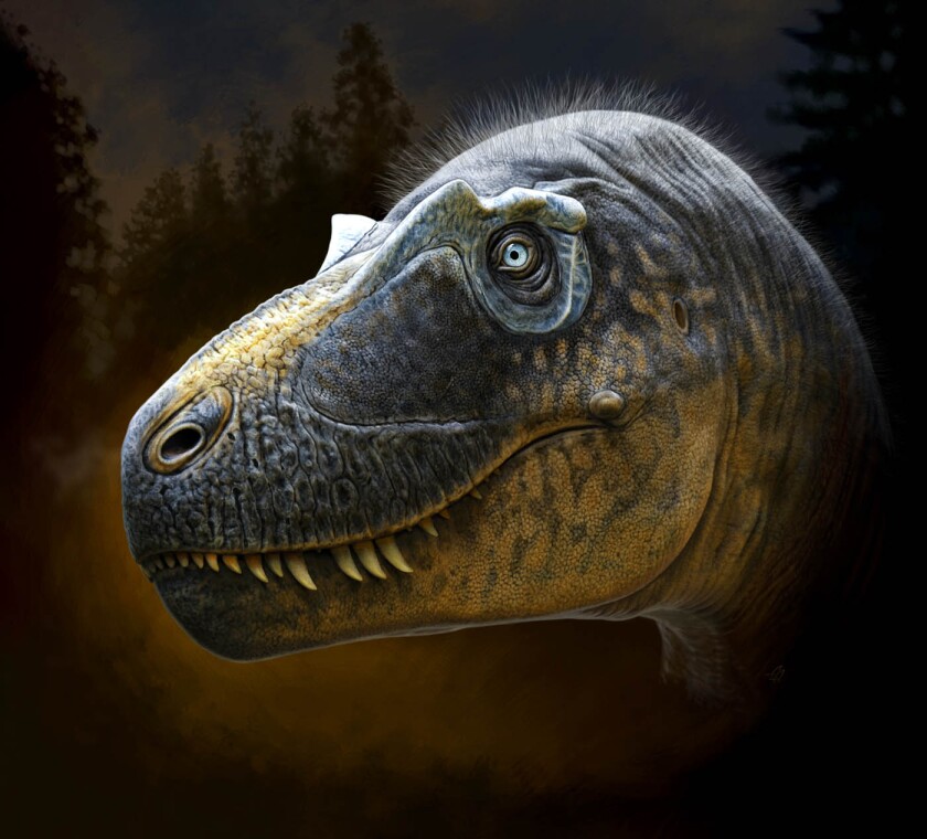 Daspletosaurus-1400w.jpg