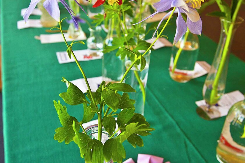 Horticultural honors