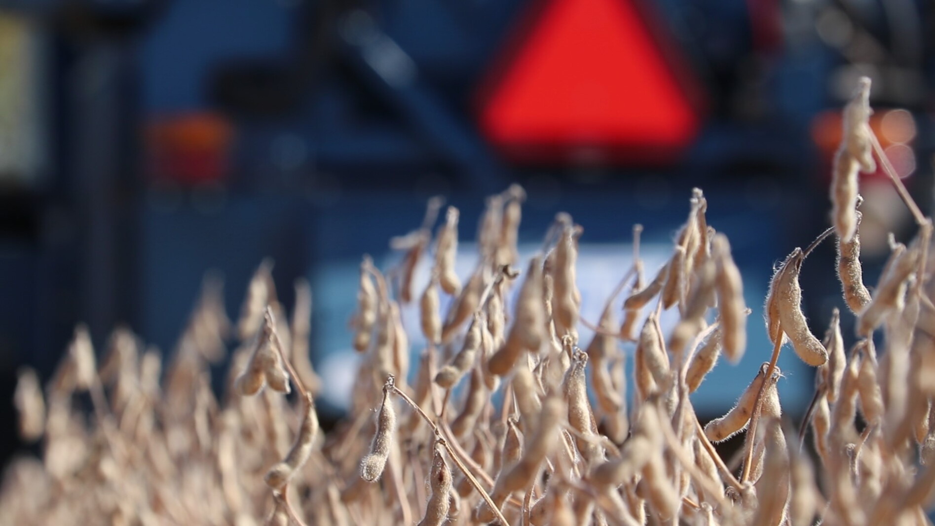Weed resistance is closing the door on post-only soybean programs