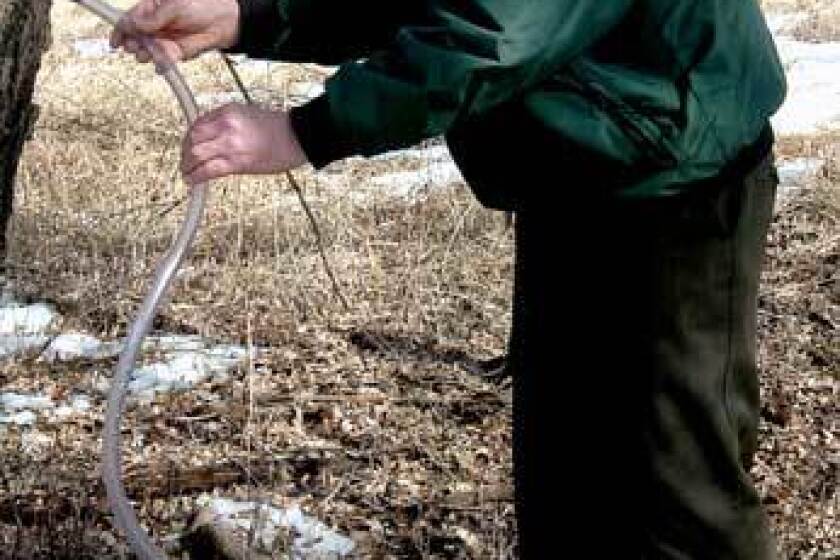 A guide to the favorite signs of spring - West Central Tribune | News ...