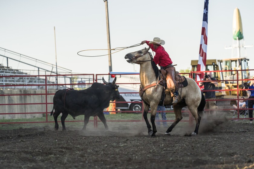 Olmsted County Fair