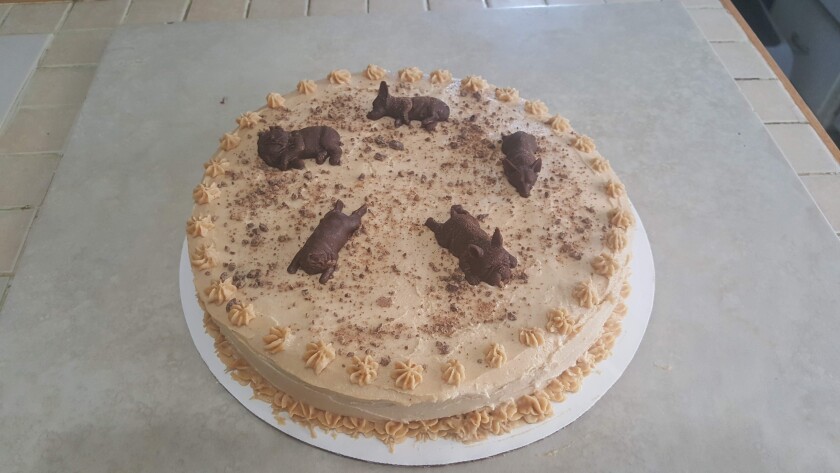 101021.B.FF.MUTTS-MASSAGEcake.jpg