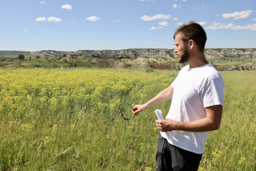 Kurt Marsh leafy spurge.jpeg