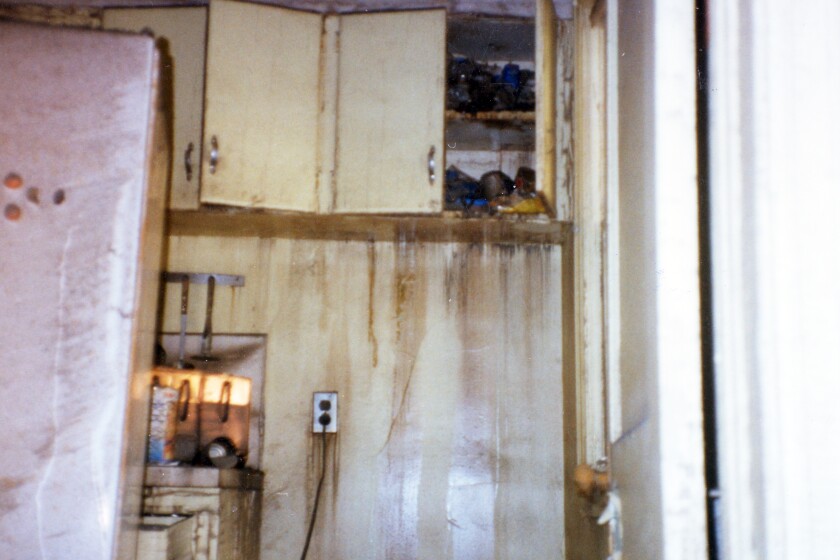 97Flood_Wahlstrand4.jpg