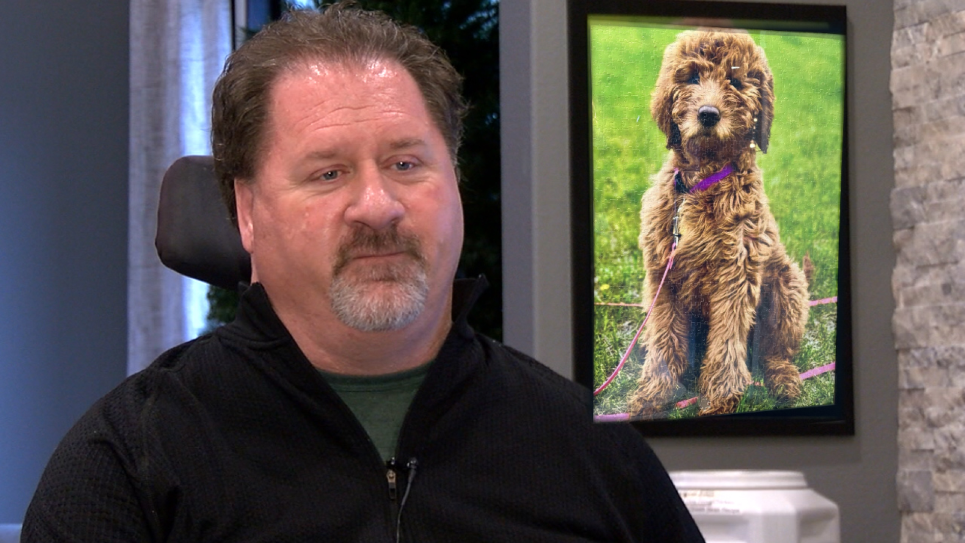 Fargo Rabbit Dog $10,000 reward offered, digital billboards up for missing Fargo service ...