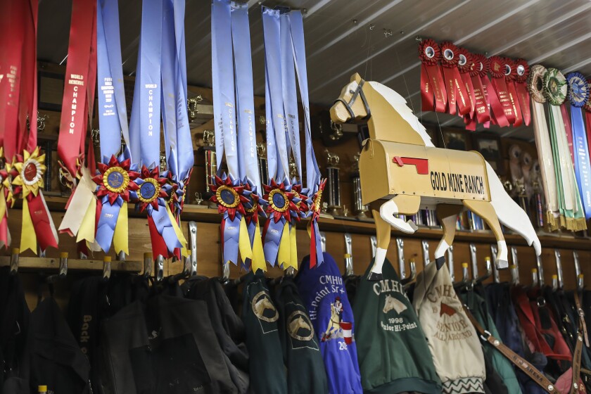 012222.N.BP.RODEO - 2.jpg