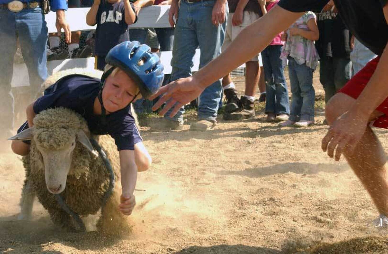 Mutton busting - West Central Tribune | News, weather, sports from ...