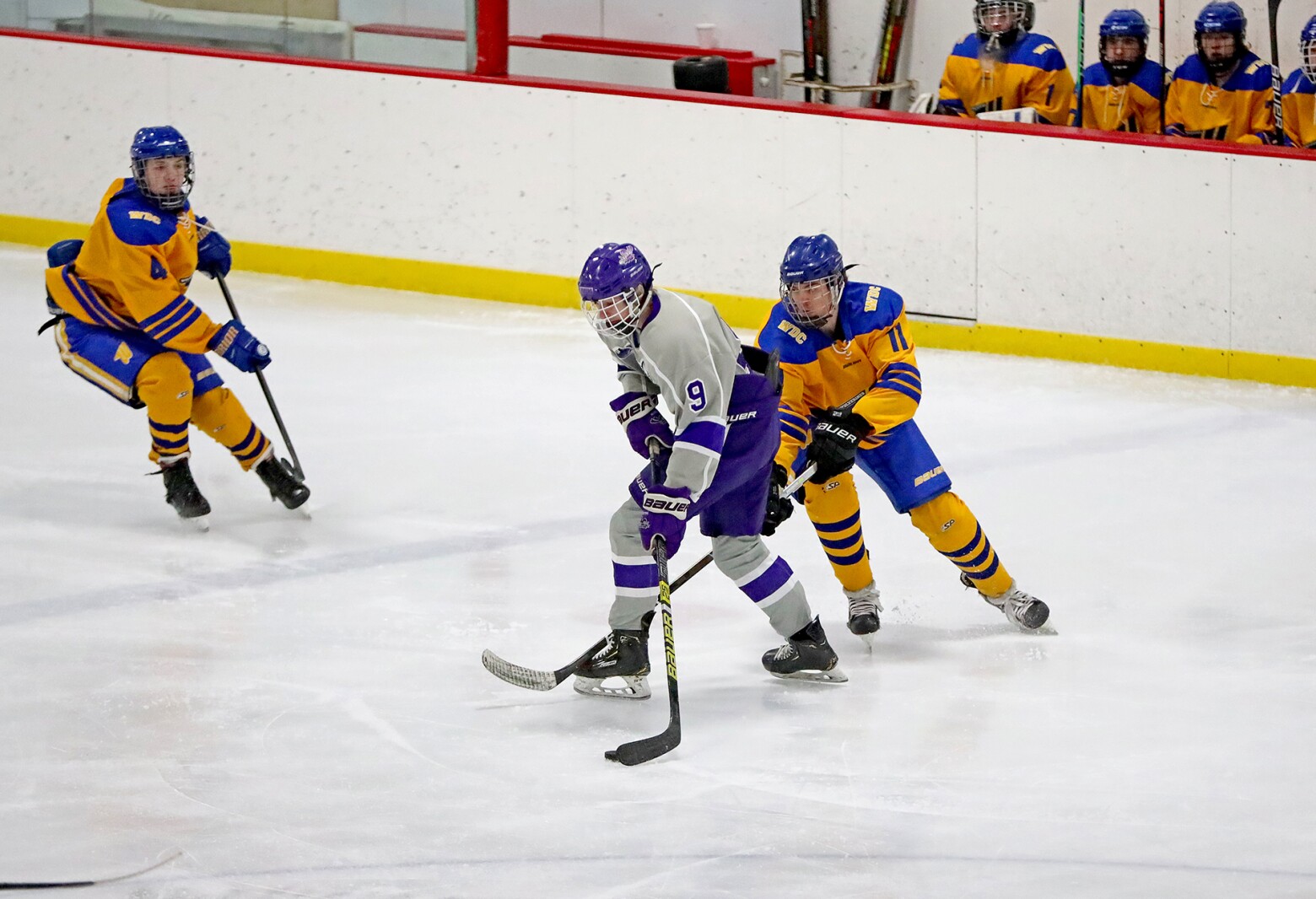 Little Falls vs Wadena Deer Creek boys hockey gallery (1).jpg
