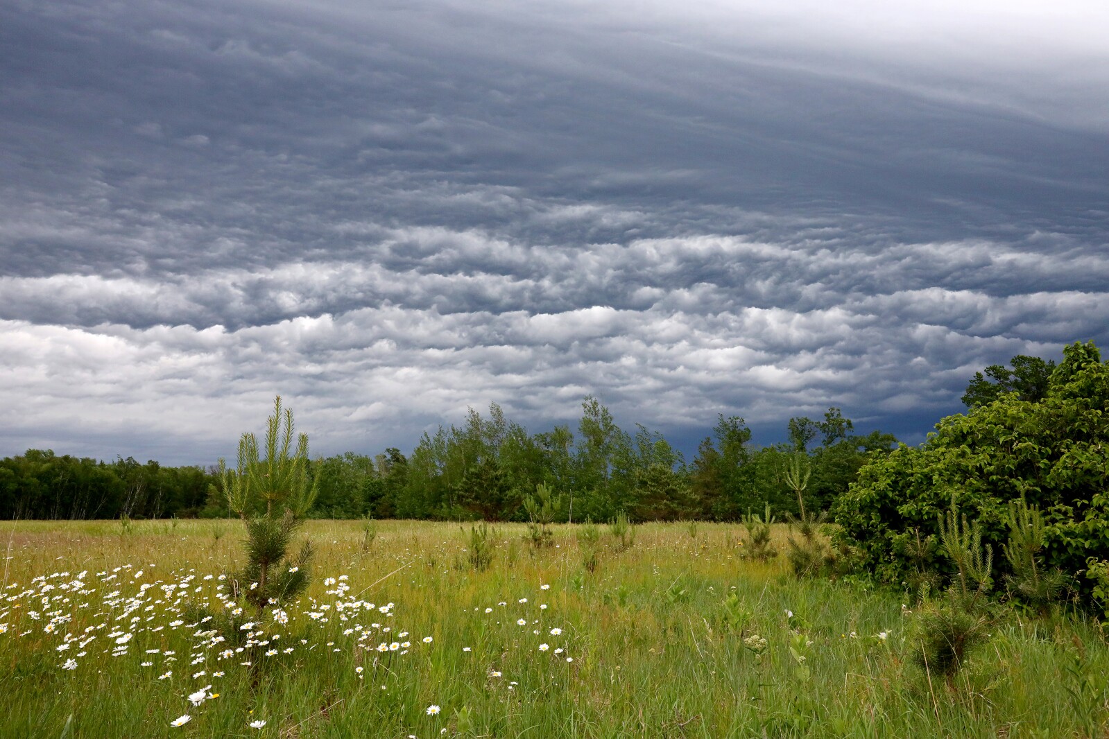 Dramatic looking storm clouds move through the area Saturday, June 18, 2022, in the Brainerd Lakes Area.