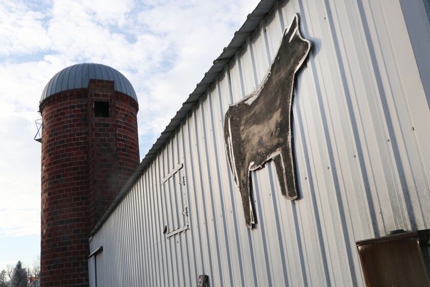 021521.AG.LivestockWeberBeef05.jpg