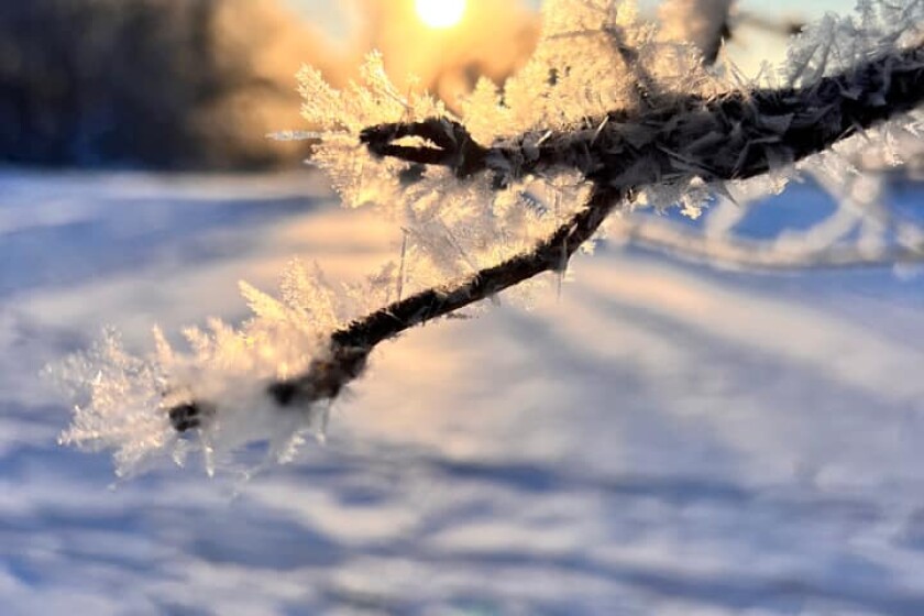 Frost sub 1-5-23 2.jpg