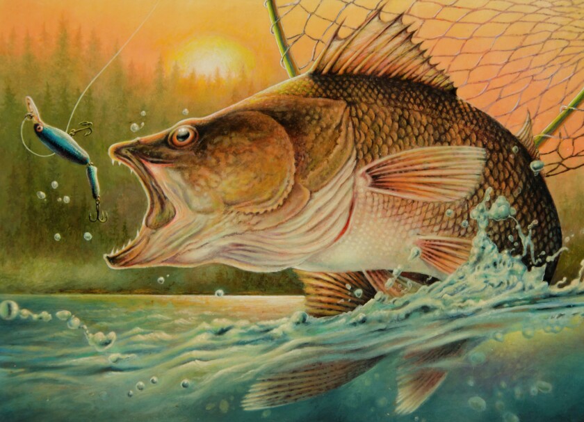 2512933+050816.O.GFH_.OPENER-Minnesota Walleye Stamp.jpg