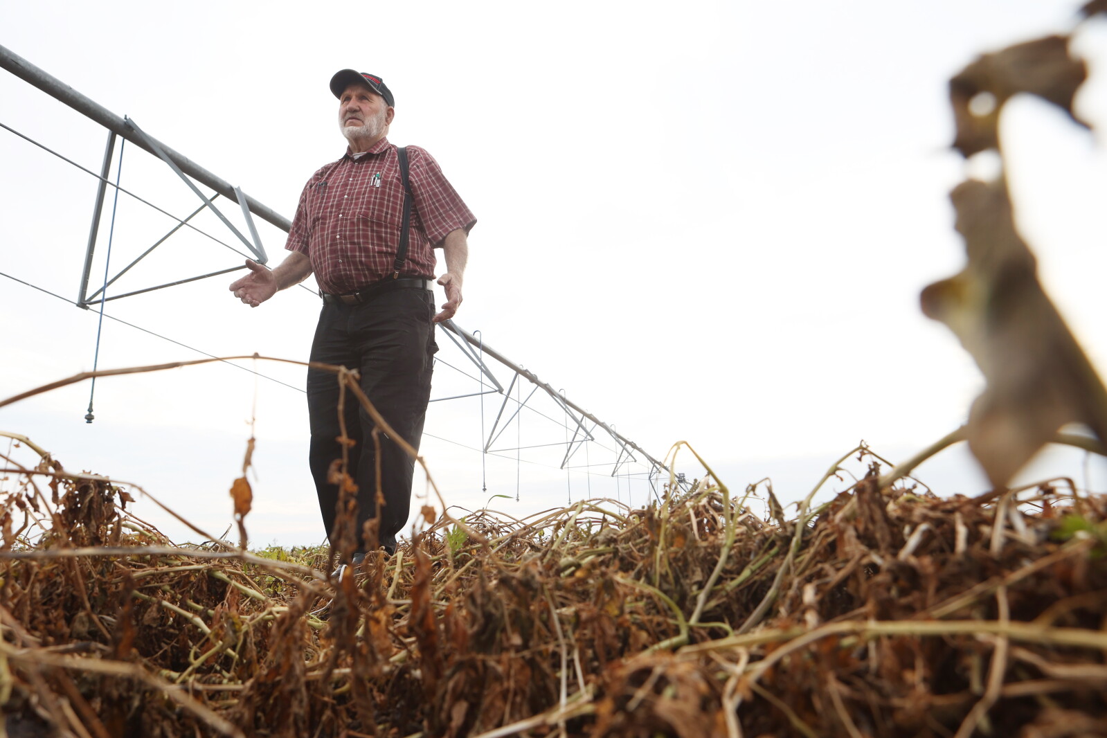 Innovation, irrigation and faith allow Forest River Hutterite Colony to ...