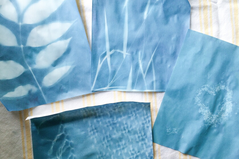 Sunscreen Paper Sunshine and special paper pair create sun prints for an easy summer ...