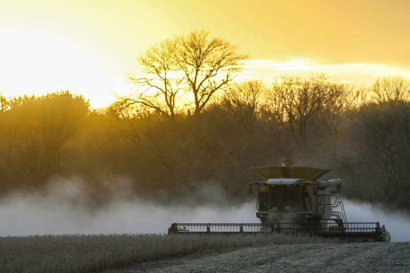 112721.N.DR.CROPS4.jpg